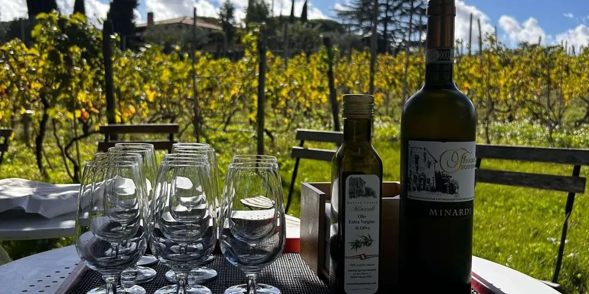 Wine bottles and tasting glasses on a table beside the farmhouse vines