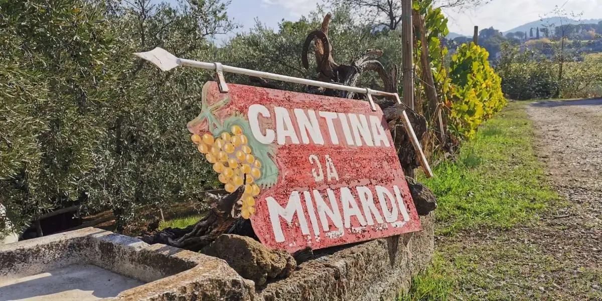 A painted Cantina da Minardi sign among the olive trees