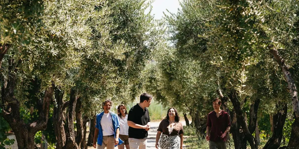 Guests walking through an olive grove at the countryside estate
